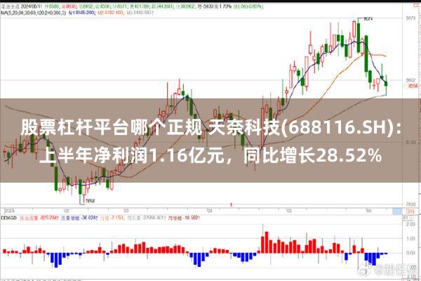 股票杠杆平台哪个正规 天奈科技(688116.SH)：上半年净利润1.16亿元，同比增长28.52%