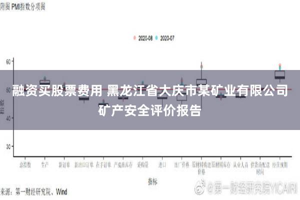 融资买股票费用 黑龙江省大庆市某矿业有限公司矿产安全评价报告